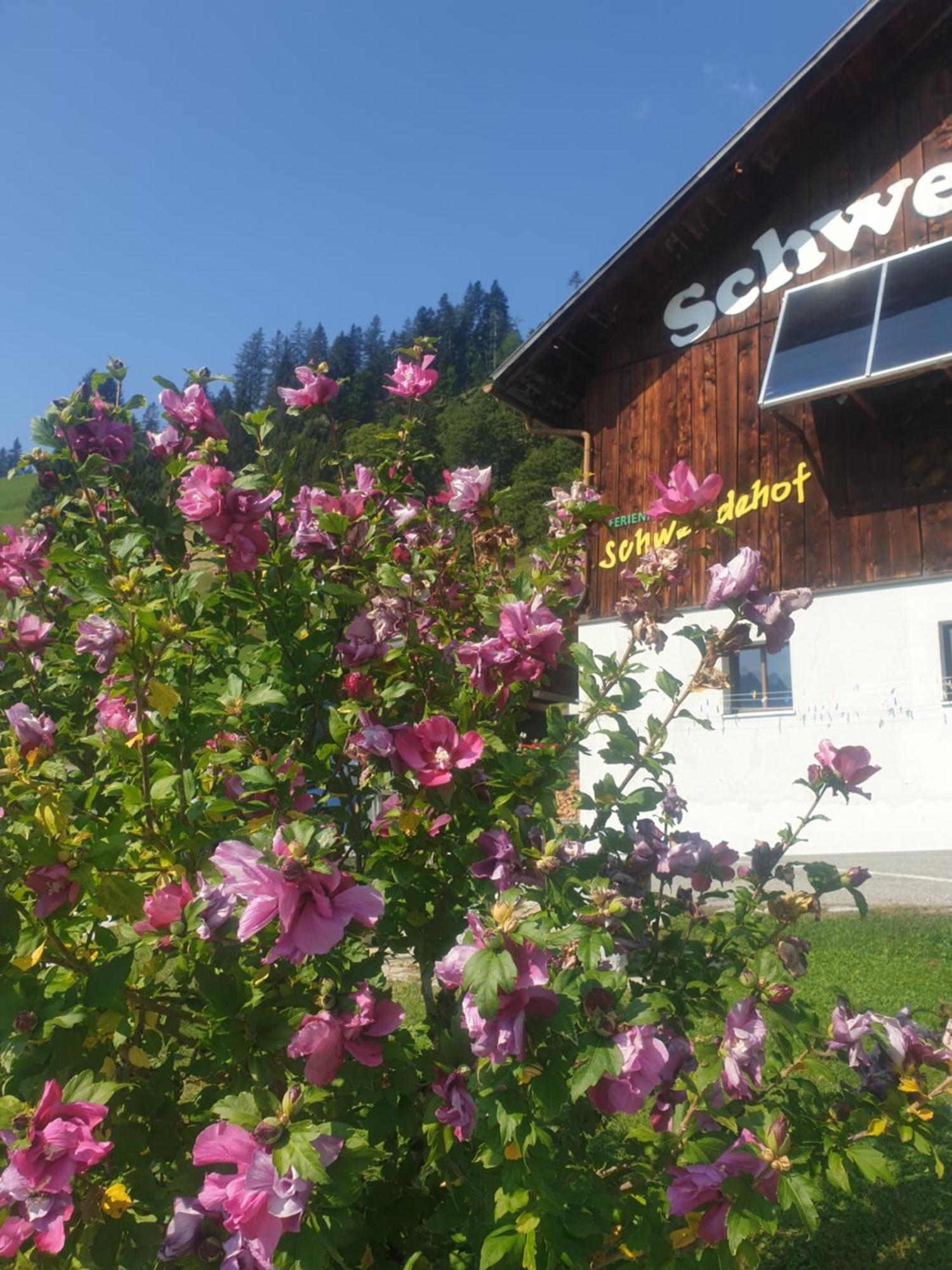 Ferienhaus Schwendehof Fontanella Eksteriør bilde